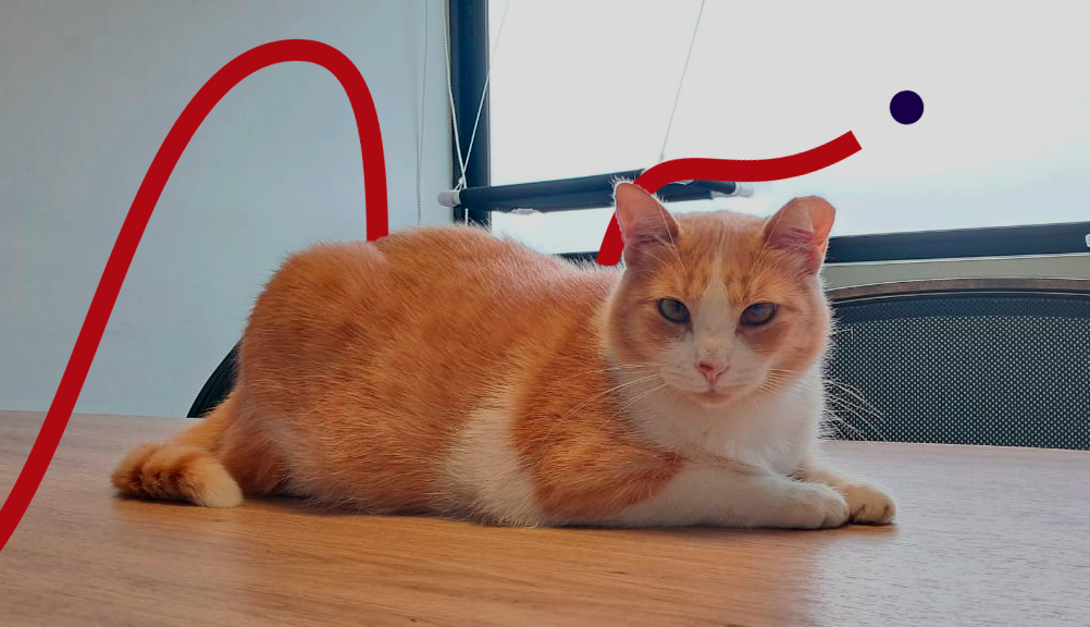 Emojita: La supervisora felina que mejora el ambiente laboral en EMOJ Consultora 